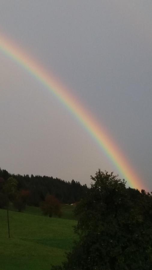 Zachhof Apartment Ellbogen ภายนอก รูปภาพ