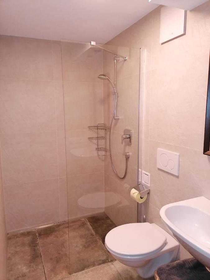 Zachhof Apartment Ellbogen ภายนอก รูปภาพ